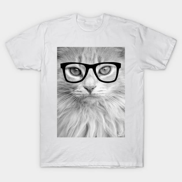 Hippest Cat T-Shirt by allysonjohnson